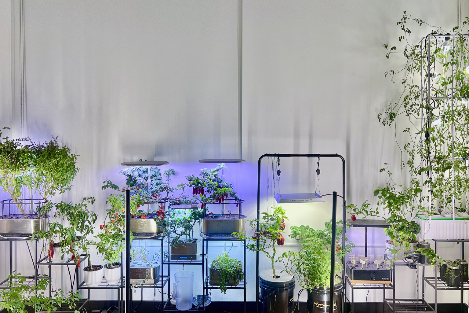 KylieGrows.com - Indoor Hydroponic Garden in Las Vegas